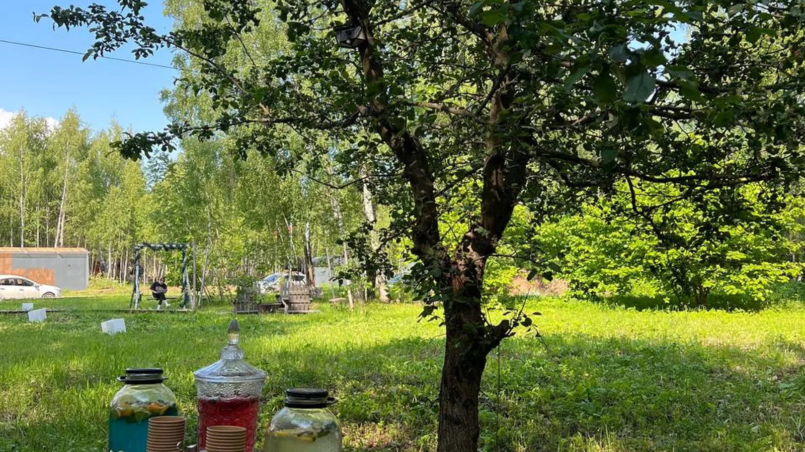 Выездная банкетная сервировка в Ярославле
